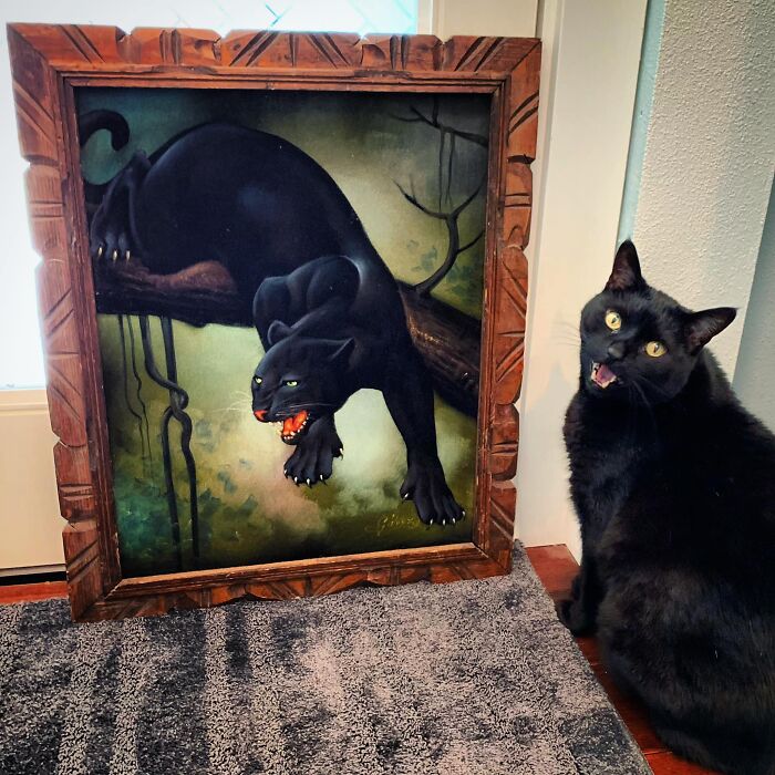 I Couldn’t Resist This Black Velvet Painting Of My Cat Phillip I Found While Thrifting Today