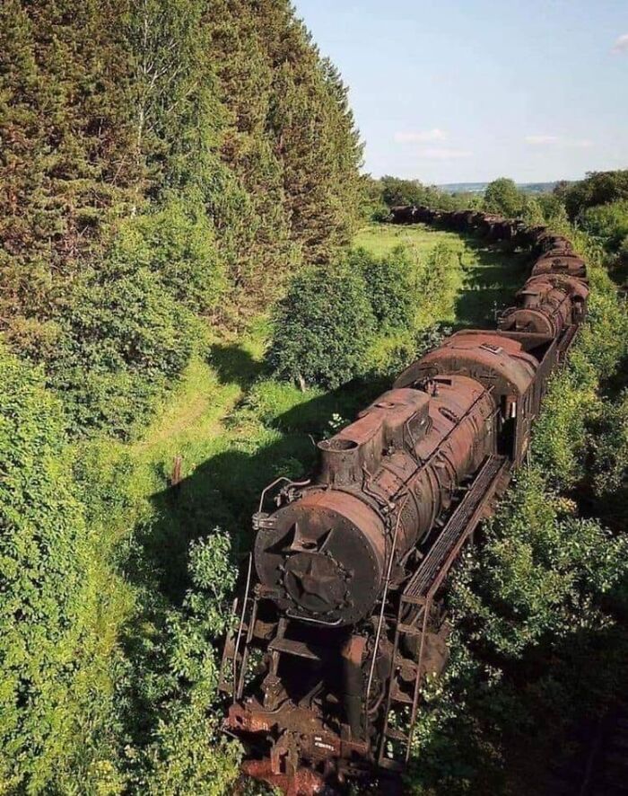 Abandoned Train