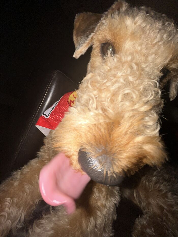 Goofy Face By Ellie 😂