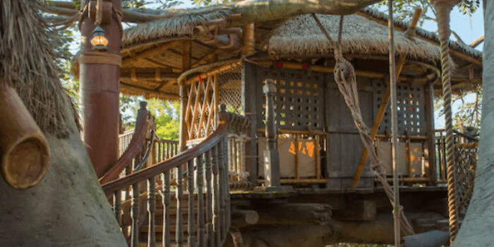 The Treehouse From Swiss Family Robinson