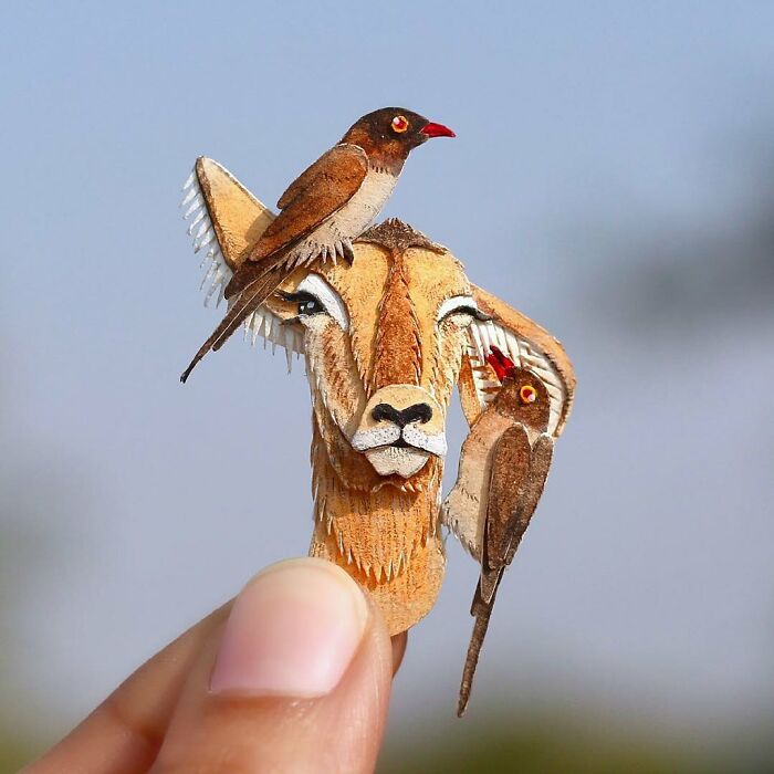 All The Beauty Of Nature Shown In Paper Cutouts By An Indian Artist