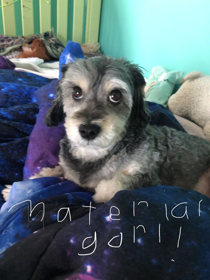 Girly Rolling Her Eyes At Me