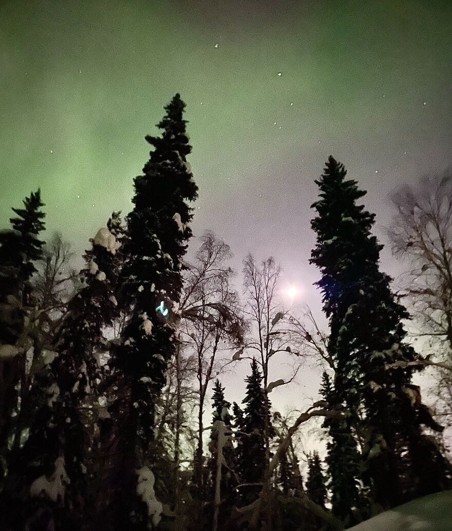 Northern Lights From My Driveway