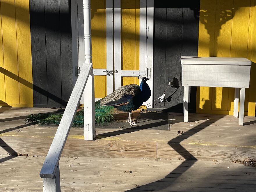 10 Photos I Took That Would Make Nice Album Covers