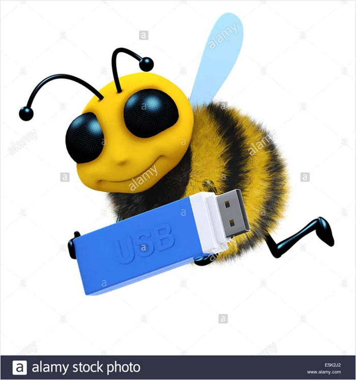 3D Render Of A Honey Bee Carrying A USB Stick