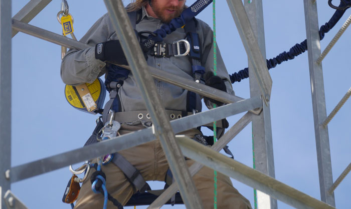 Person Maliciously Complies To Do Whatever Incompetent Coworker Says, Leading To Coworker’s Demotion Person Maliciously Complies To Do Whatever Incompetent Coworker Says, Leading To Coworker’s Demotion