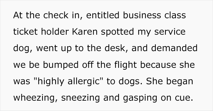 Karen discovers a service dog on a plane and suddenly develops severe allergies and demands to be taken off the plane, but gets a first class seat instead