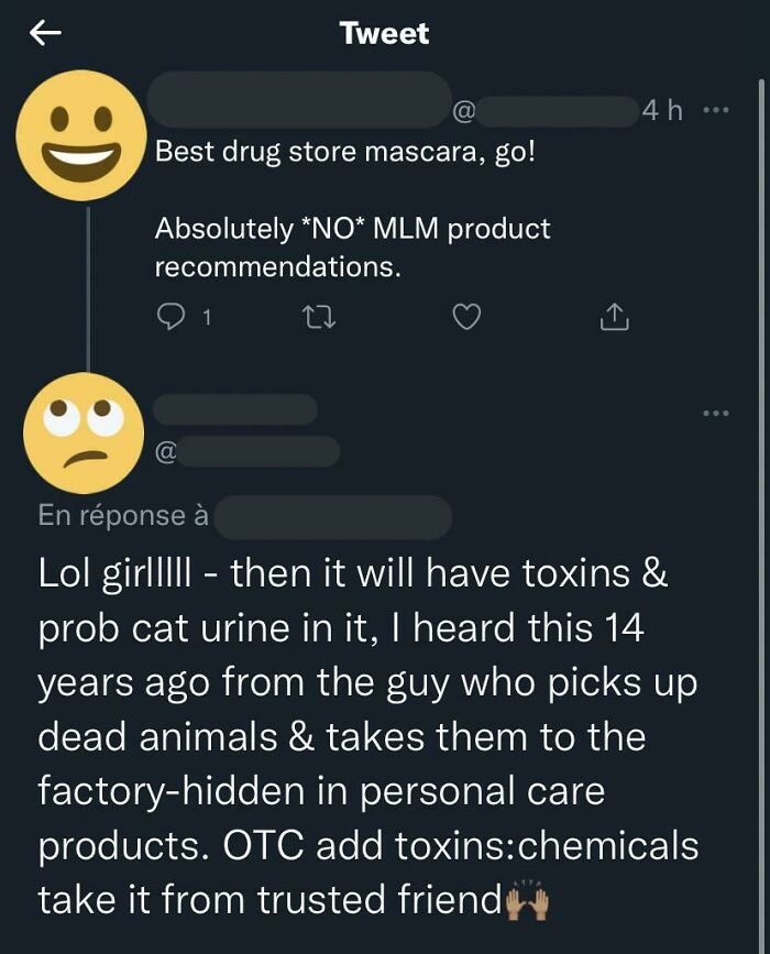 She Was The Reason I Had To Say No Mlm Recommendations