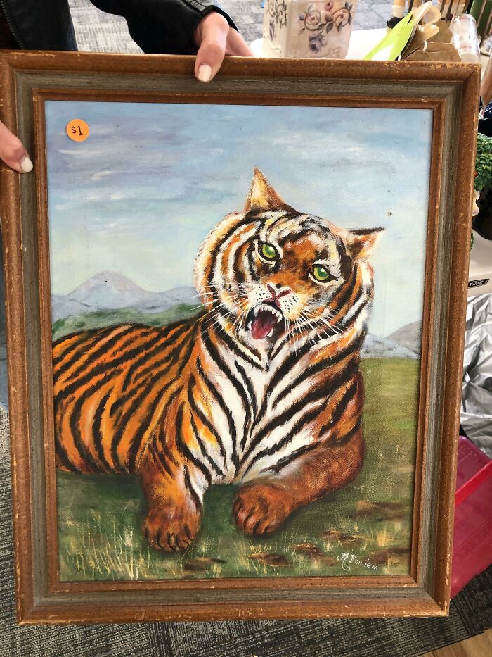 A Majestic Tiger, With Some Anatomical Difficulties