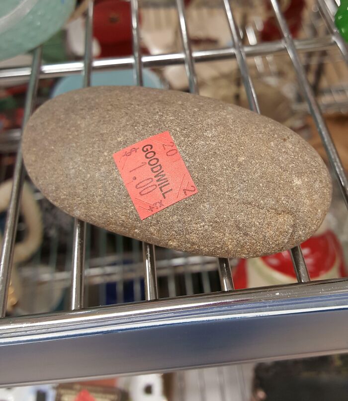 Goodwill Was Selling A Rock