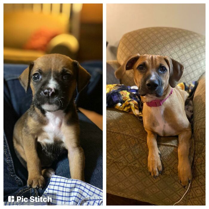 My Alice Girl Has Changed A Lot In Just Six Months!