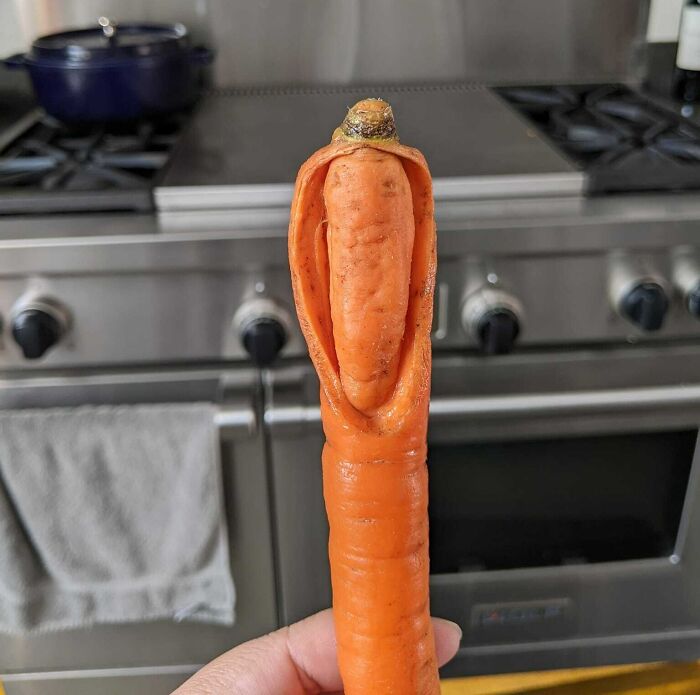 This Carrot Looks Like A Carrot Wearing A Carrot Suit