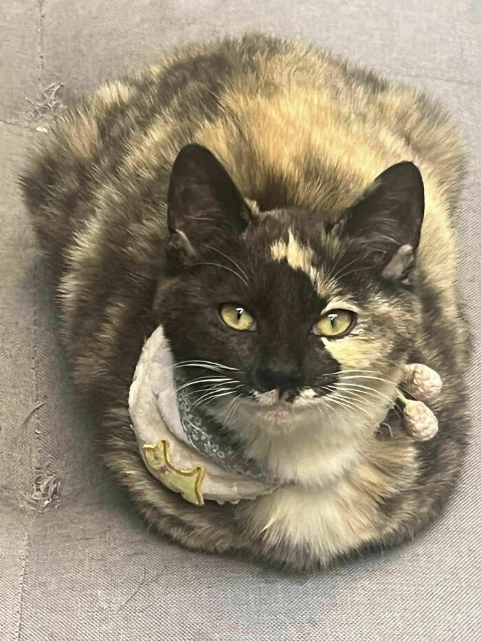 Mixing Pot Of Colours