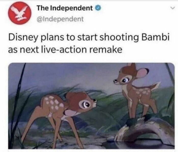 “Shooting Bambi”