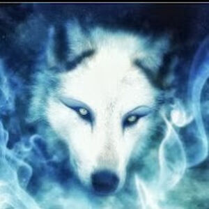 robertpalmer_2 avatar