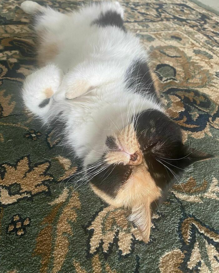 Geometric Shape Little Face