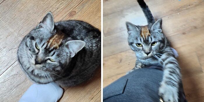 When You Want To Become Ginger But Don't Want To Comit