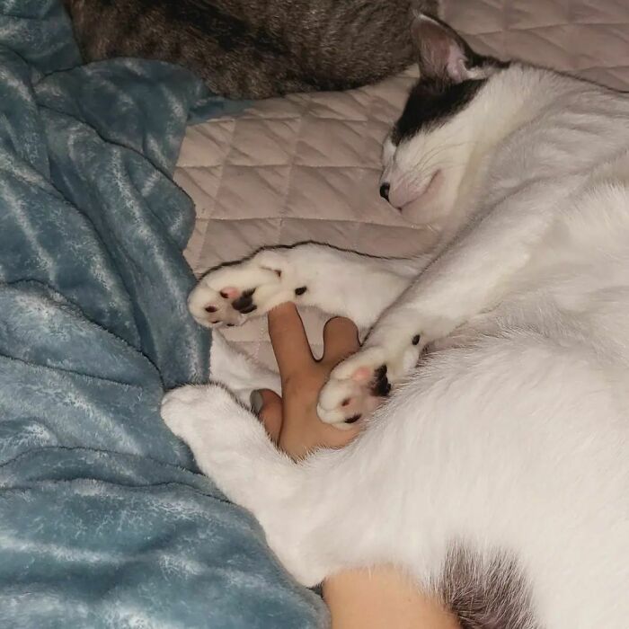 Tiny Little Markings On The End Of Her Beans Look Like A Cute Manicure