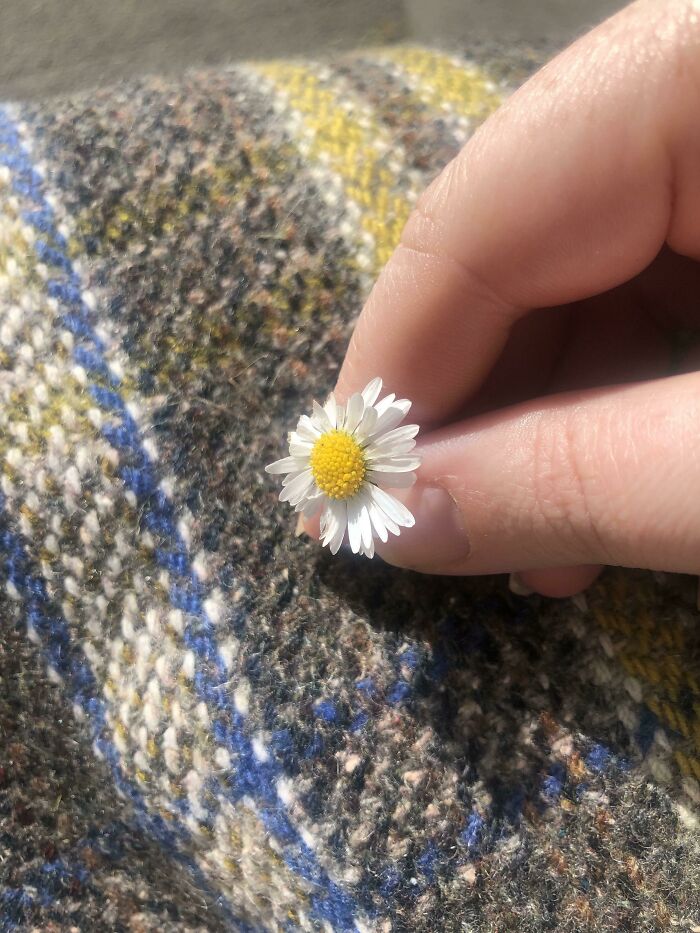 I Started Crying At The Park. Am Temporarily In A Wheelchair And Life Was Just Too Much For A Minute, And A Little Boy Brought Me A Flower He Picked