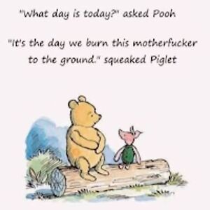 shelbyvonplinkenhorn avatar