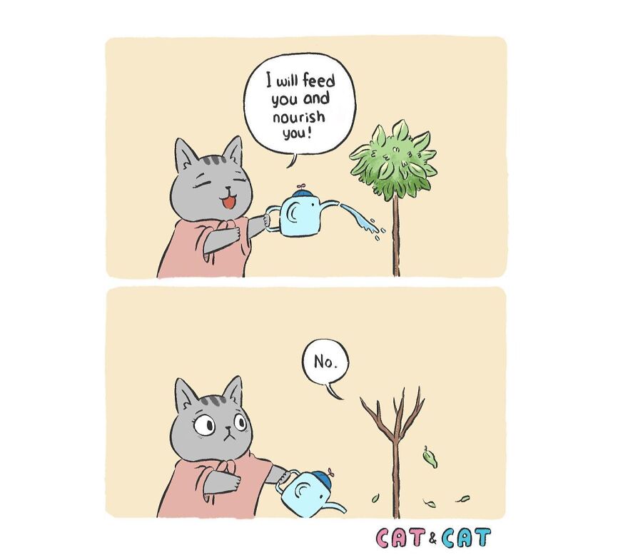 Artist Illustrates Hilarious Comics About The Lives Of Cats