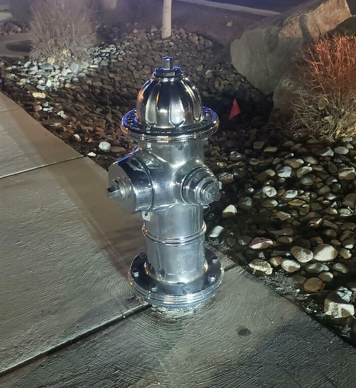 This Chrome Fire Hydrant. Shiny Right?