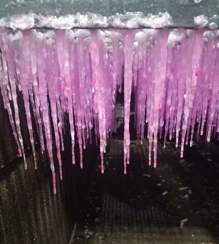Pink Icicles Underneath A Grate At A Carwash I Work At