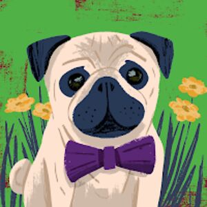 knightlyfroeber avatar