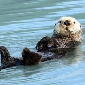 georgiasmith_1 avatar