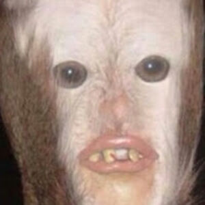 ameliashea_it_aint_so avatar