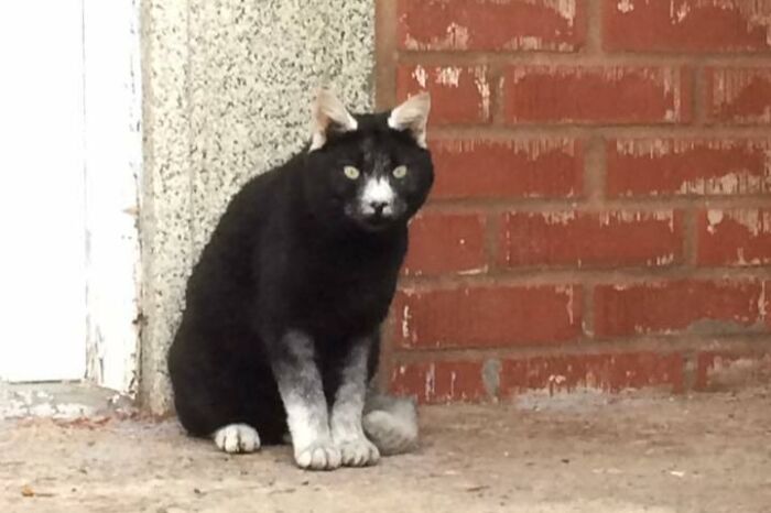 His Name Is Timine And He Looks Very Special