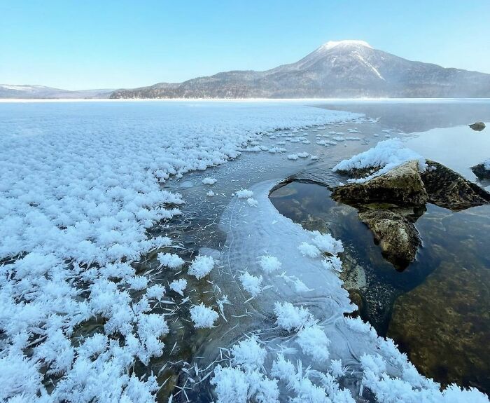 Frost Flowers