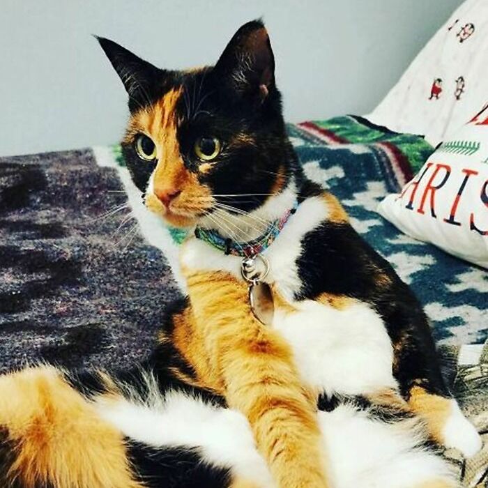 Emilia Girl Is Not Lady Like!