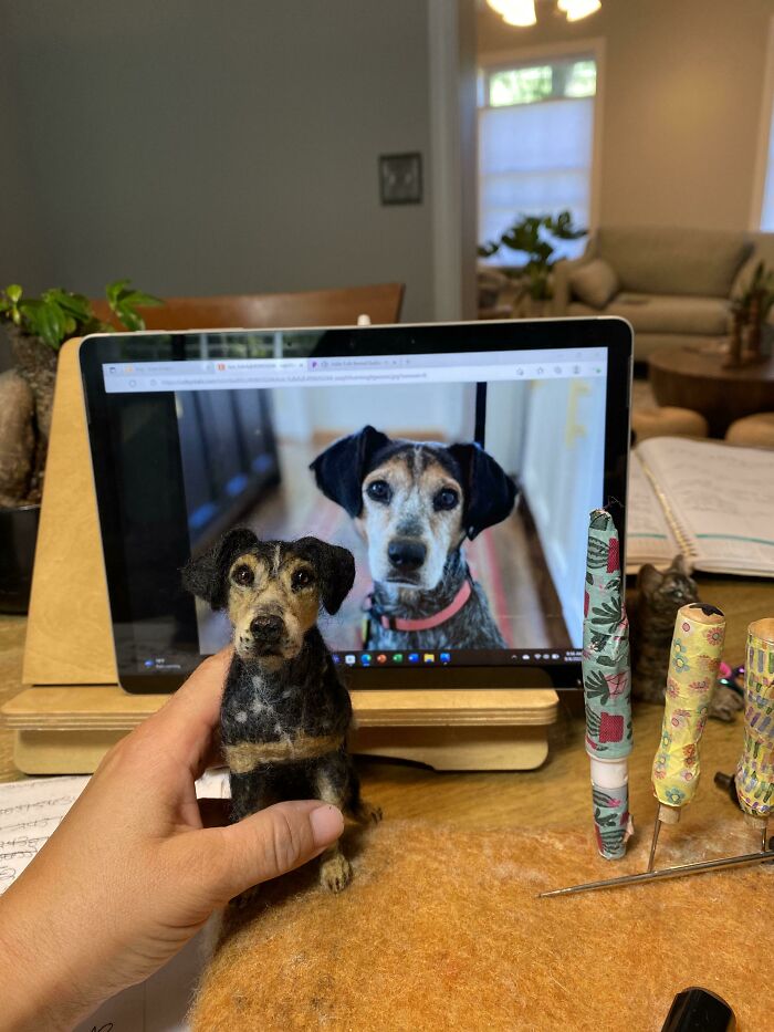 I Create Custom Needle Felted Pet Replicas From Photographs