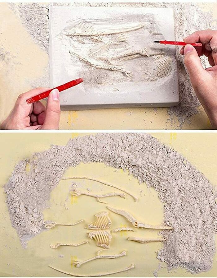  Fossil Kits With Fake Bones