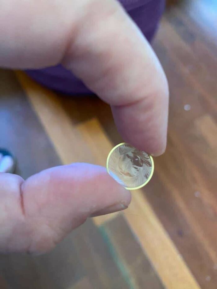 Anyone Know What This Is? Gold Ring With Thin Plastic. About 1 Cm