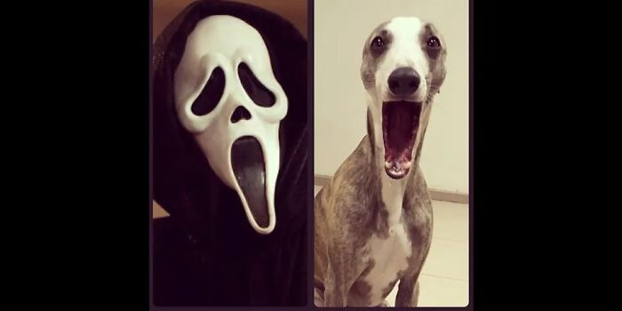 I’m Bored So I Made This Post Out Of A Bunch Of Memes And Stuff That I Found… I’m Bored. I’m Bored So I Made This Post Out Of A Bunch Of Memes And Stuff That I Found… I’m Bored.