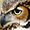 owlinatowl avatar