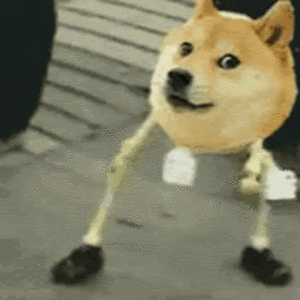 nicholasbisceglia avatar