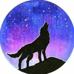 maimunatasnim avatar