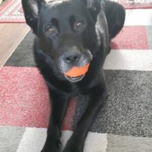 lindaball_1952 avatar