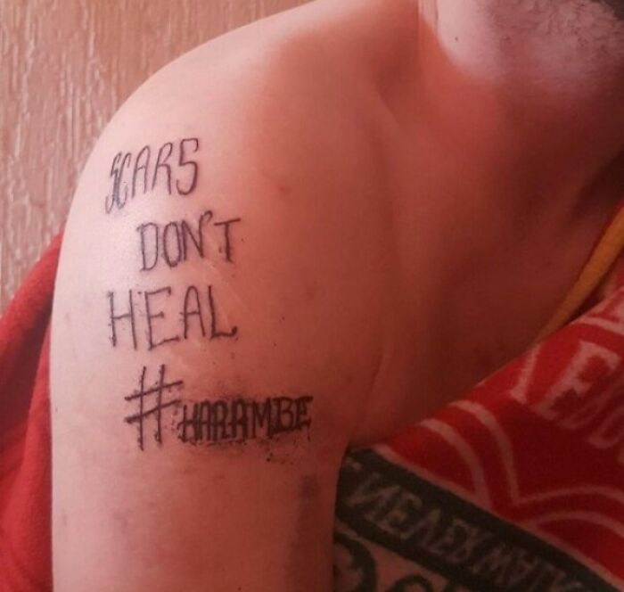 Funny tattoo on arm saying, "SCARS DON'T HEAL #HARAMBE" on a person's shoulder.