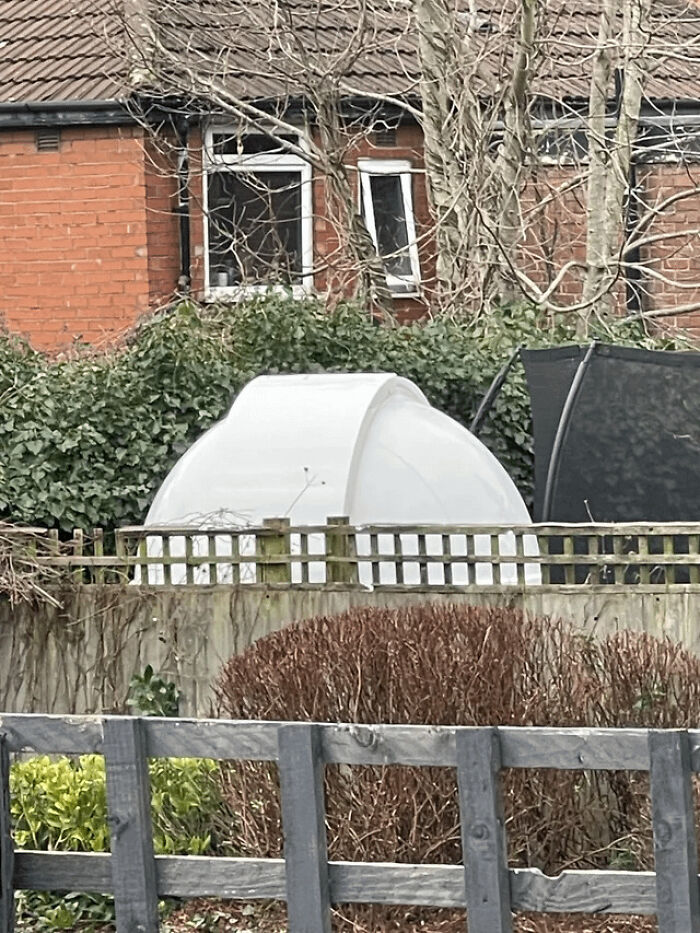 What Is This Large White Pod Thing In My Neighbours Garden?