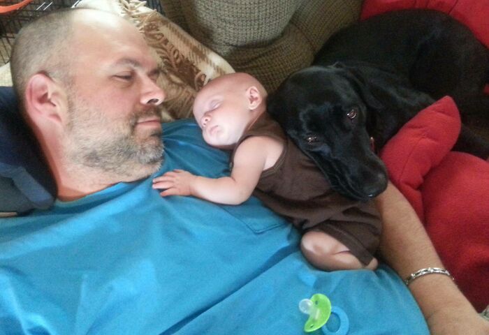 Grandpa, Baby, And A Very Jealous Dog