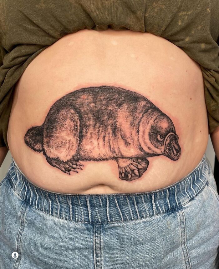 Platypus Tattoo