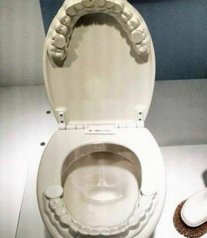 A Toilet Does Have A Large Cavity, But This Isn't Quite What I Had In Mind