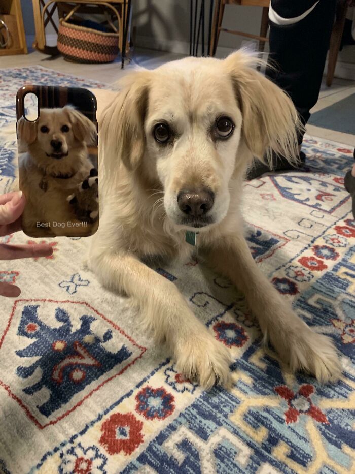 For My Birthday My Mommy Got Me A Phone Case With My Dog On It