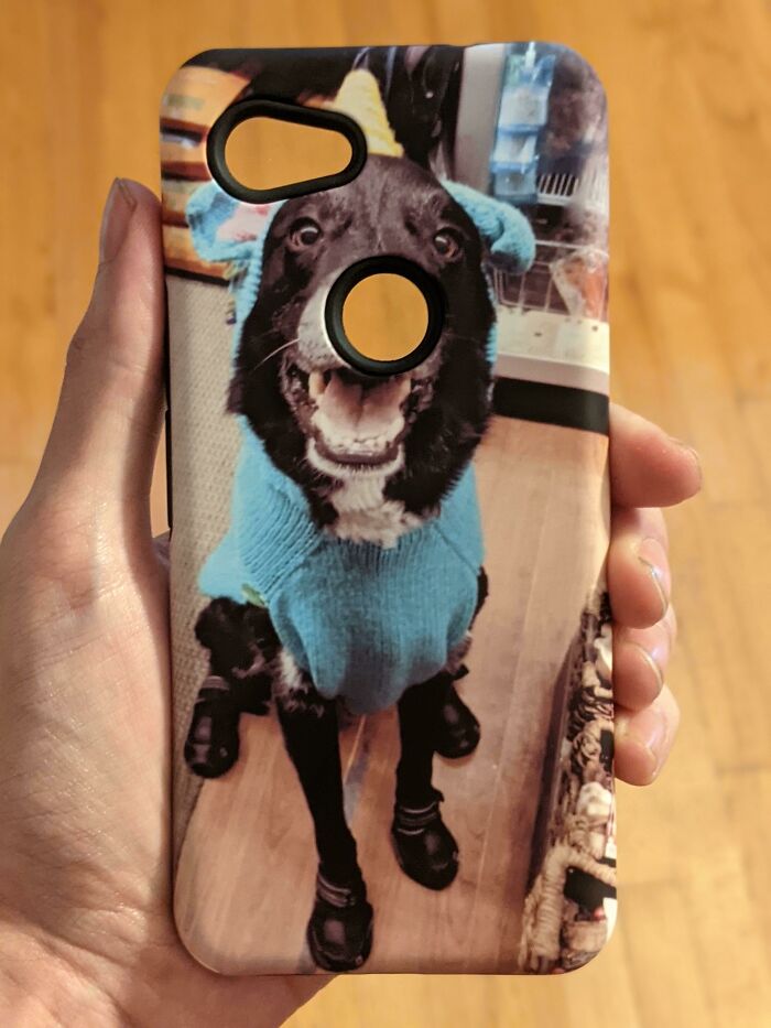 My New Custom Phone Case Just Came In The Mail! I Designed It So You Boop Andy's Nose To Unlock The Phone