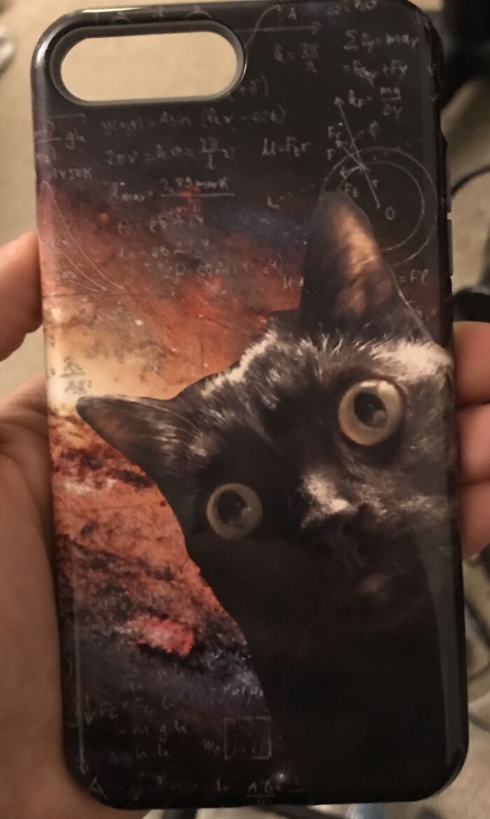 Made A Phone Case As An Anniversary Gift To My Boyfriend. His Cat Understands The Universe