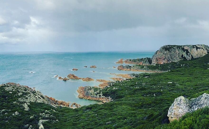 This picture shows the untamed natural beauty of Tasmania